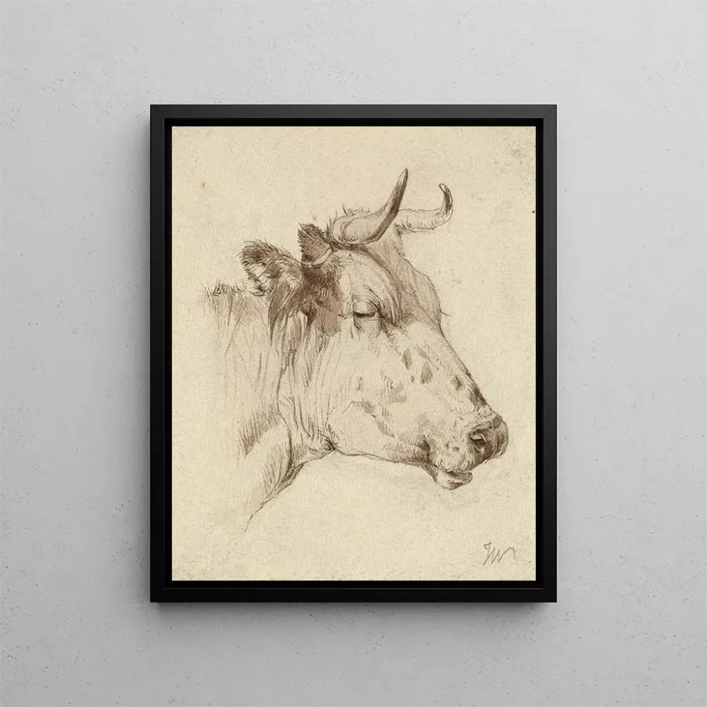 Tableau Tête de vache - Anonyme | Reproduction
