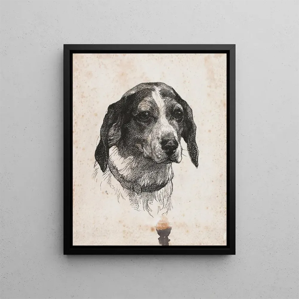 Tableau Une tête de chien - Alexander Blom | Reproduction