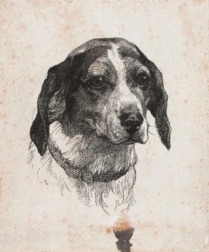 Tableau Une tête de chien - Alexander Blom | Reproduction