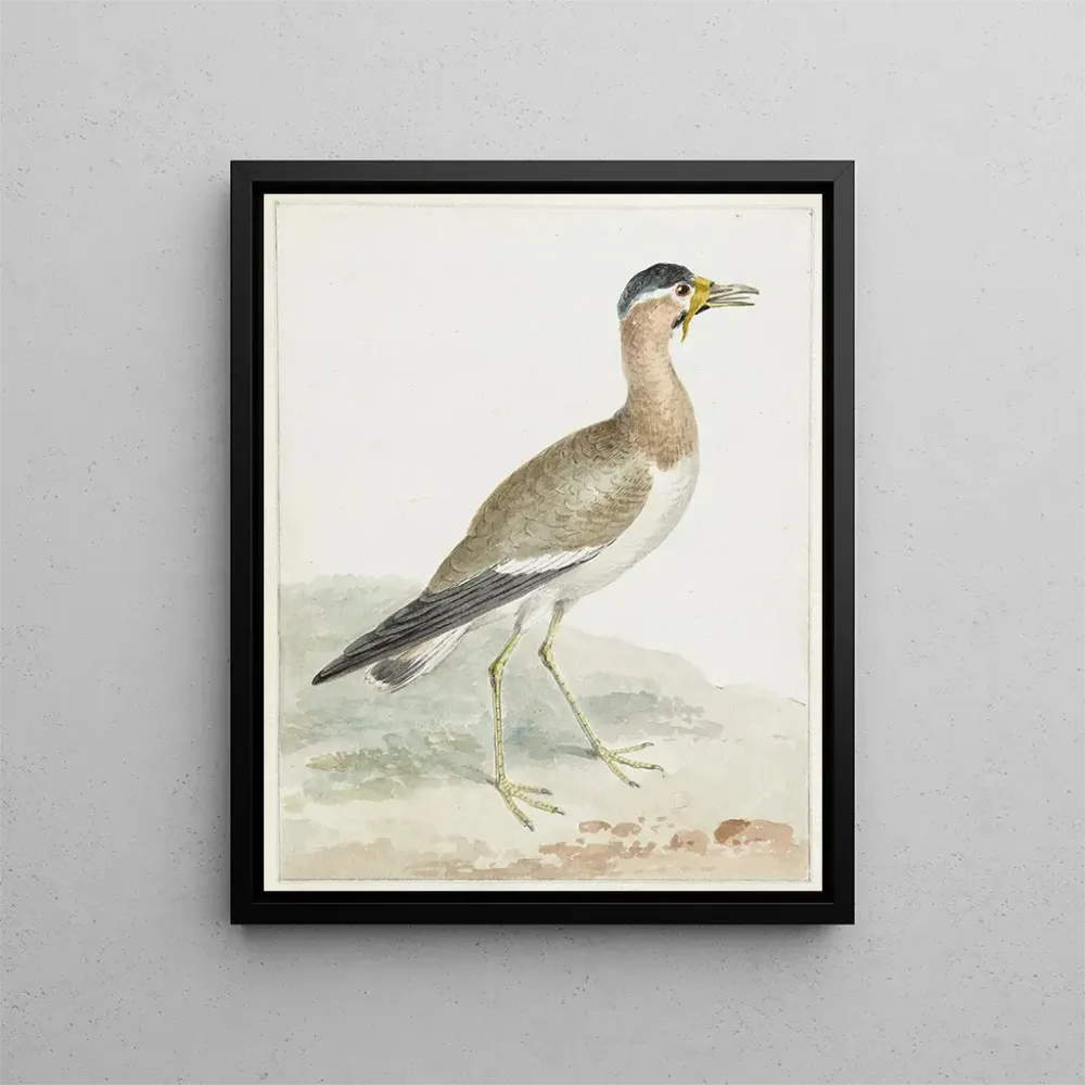 Tableau Un vanneau à grosses cornes - Aert Schouman | Reproduction