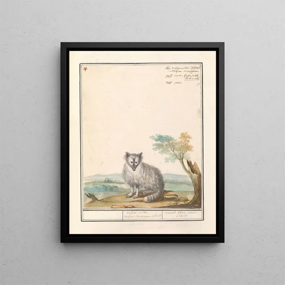 Tableau Vos Renards renards renards renards blancs Crucigera aldvov renard fade crois isalis - Anselmus Botius de Boodt |...
