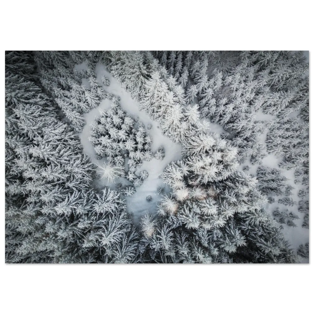 Photo drone de sapins en neige 30x45 Tableaux photos aluminium de montagne