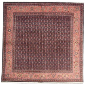 Tabriz oriental
