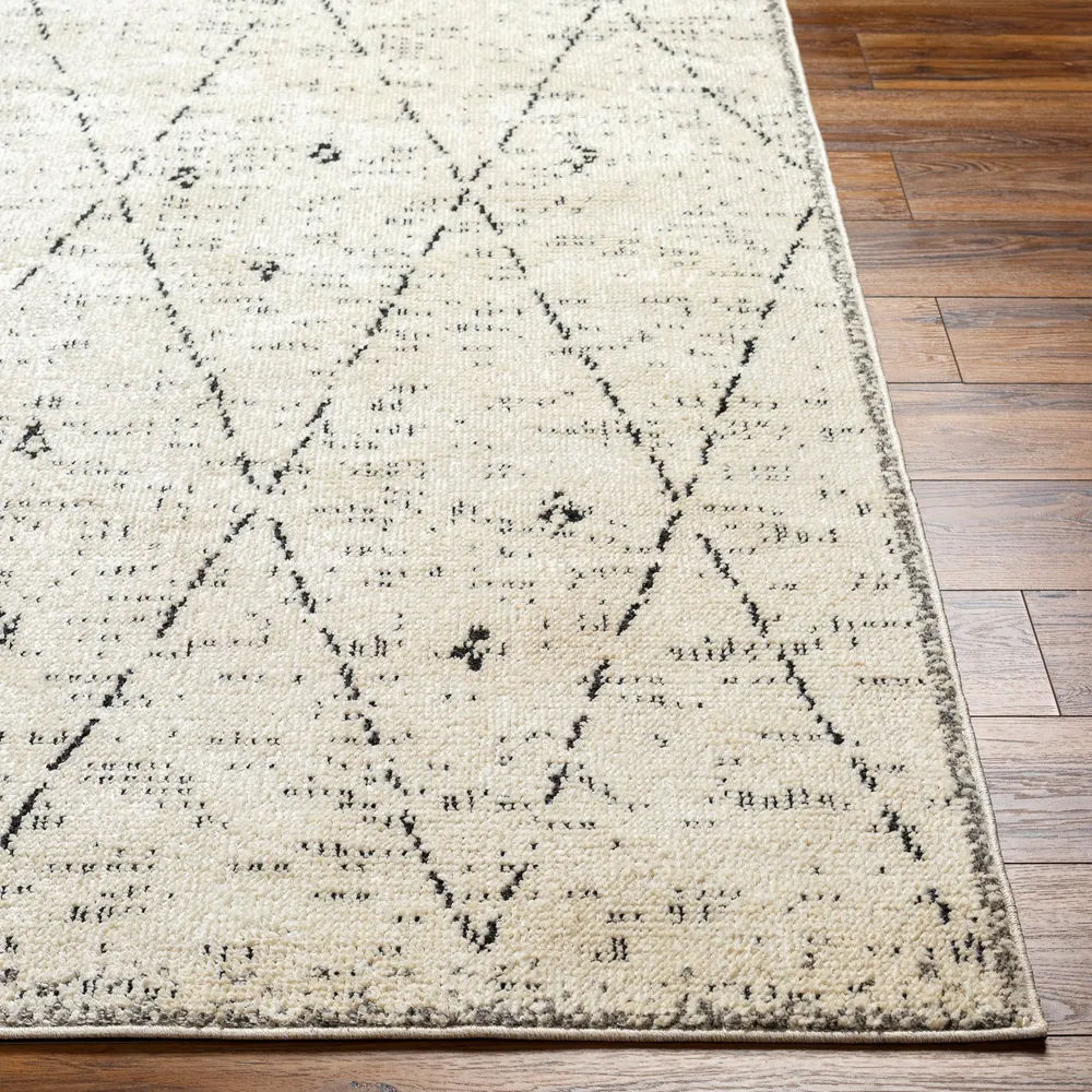 Tapis de Couloir Berbère Ethnique Ivoire/Gris Onojo
