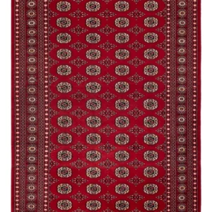 Tapis Pakistani 256x167cm - Tapis oriental