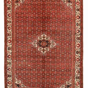 Tapis persan - Nomadic - 298 x 212 cm - rouille