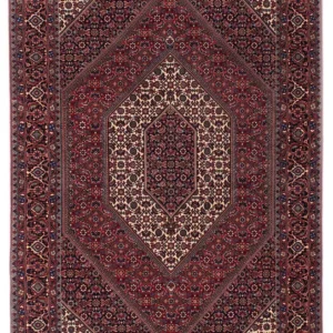 Tapis persan oriental Bidjar Kamyar