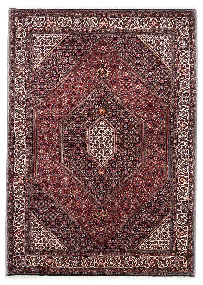 Tapis persan oriental Bidjar Naid