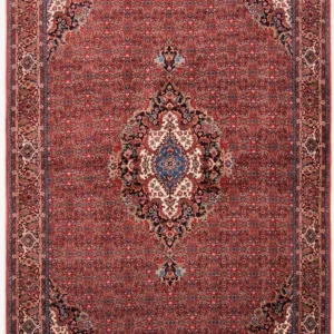 Tapis persan oriental Bidjar Samannaz