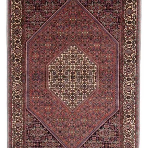 Tapis persan oriental Bidjar Sapida