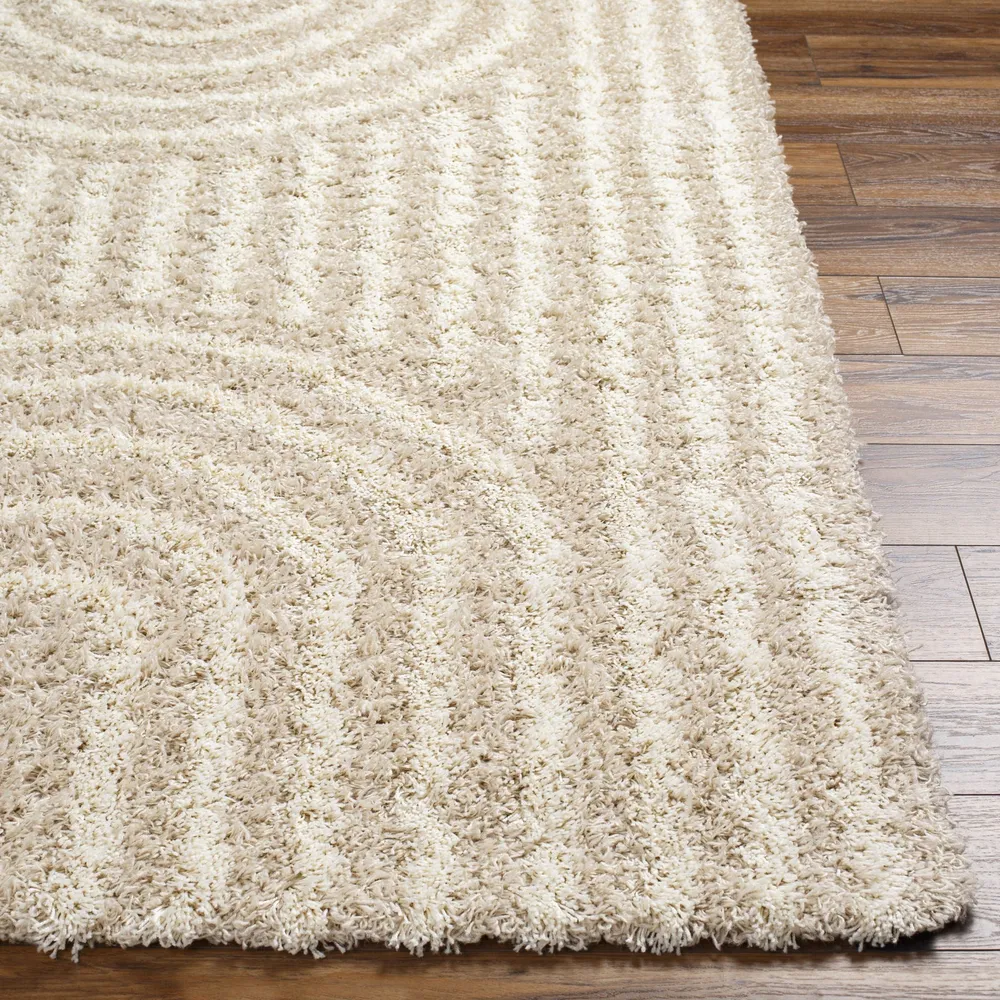Tapis Shaggy Scandinave Blanc/Beige Sochi