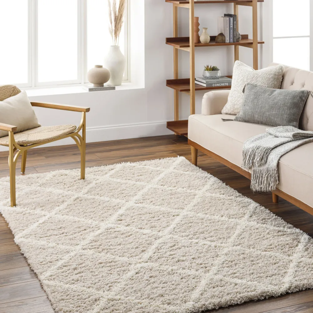 Tapis Shaggy Scandinave Bohème Blanc/Beige Trakai