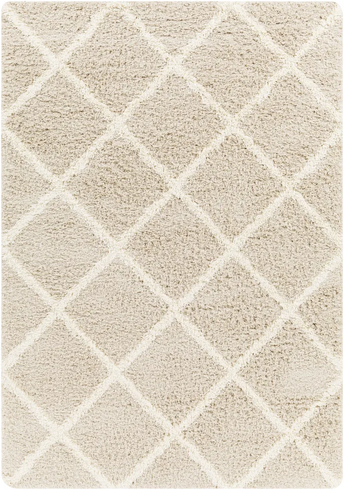Tapis Shaggy Scandinave Bohème Blanc/Beige Trakai