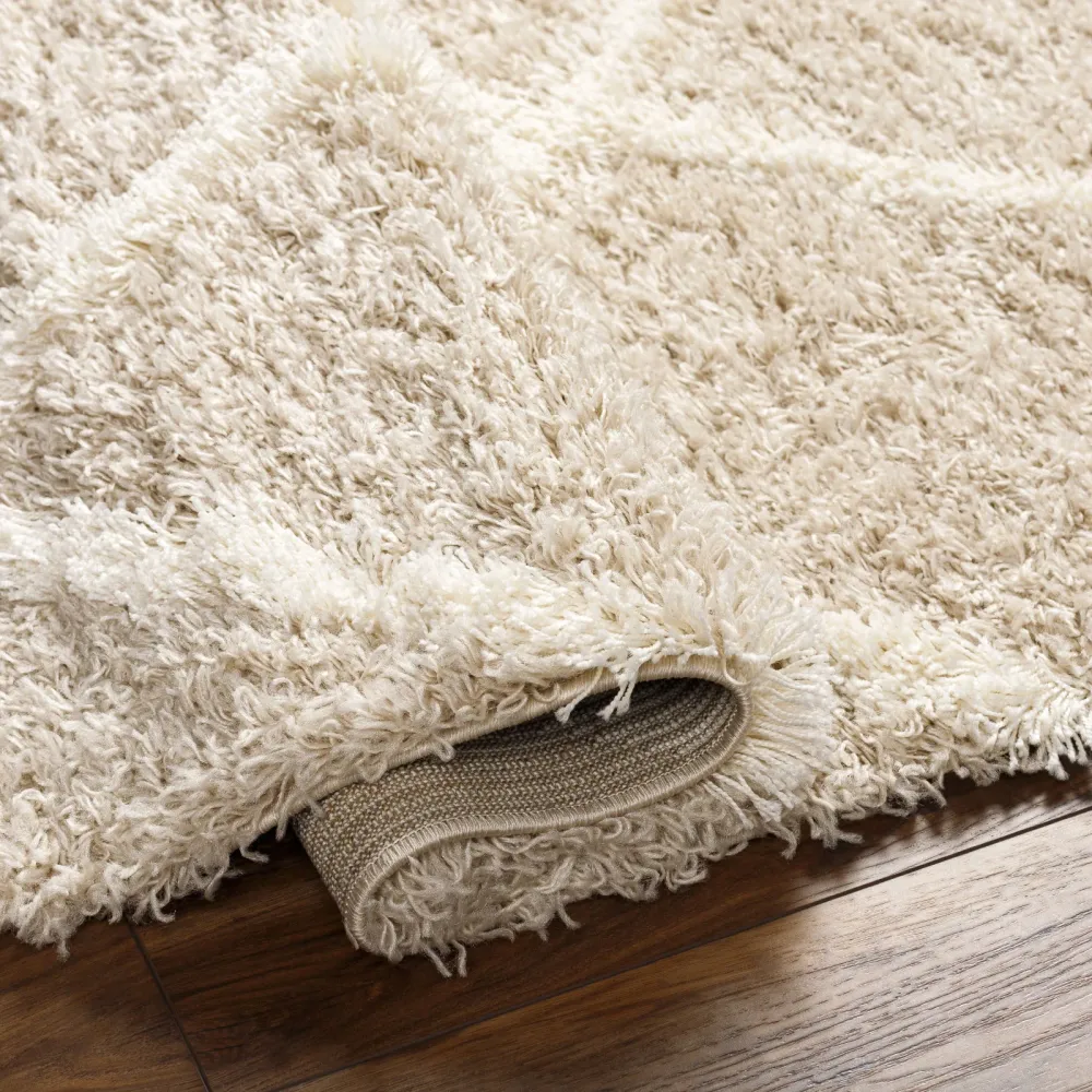 Tapis Shaggy Scandinave Bohème Blanc/Beige Trakai