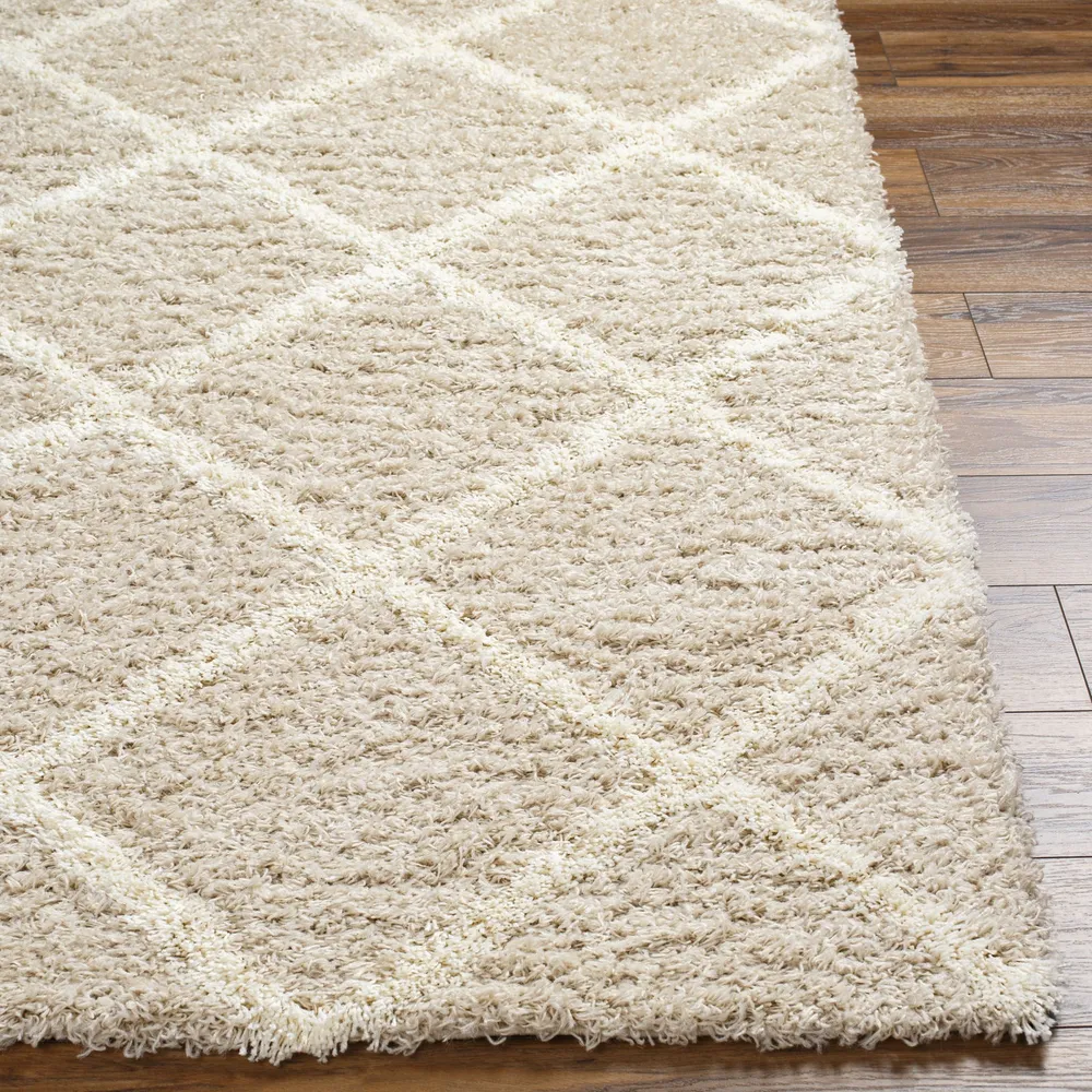 Tapis Shaggy Scandinave Bohème Blanc/Beige Trakai