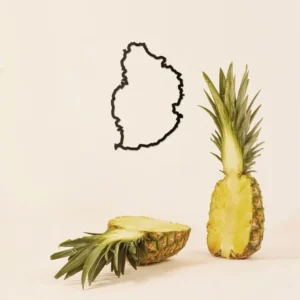 Île Maurice - Line Island