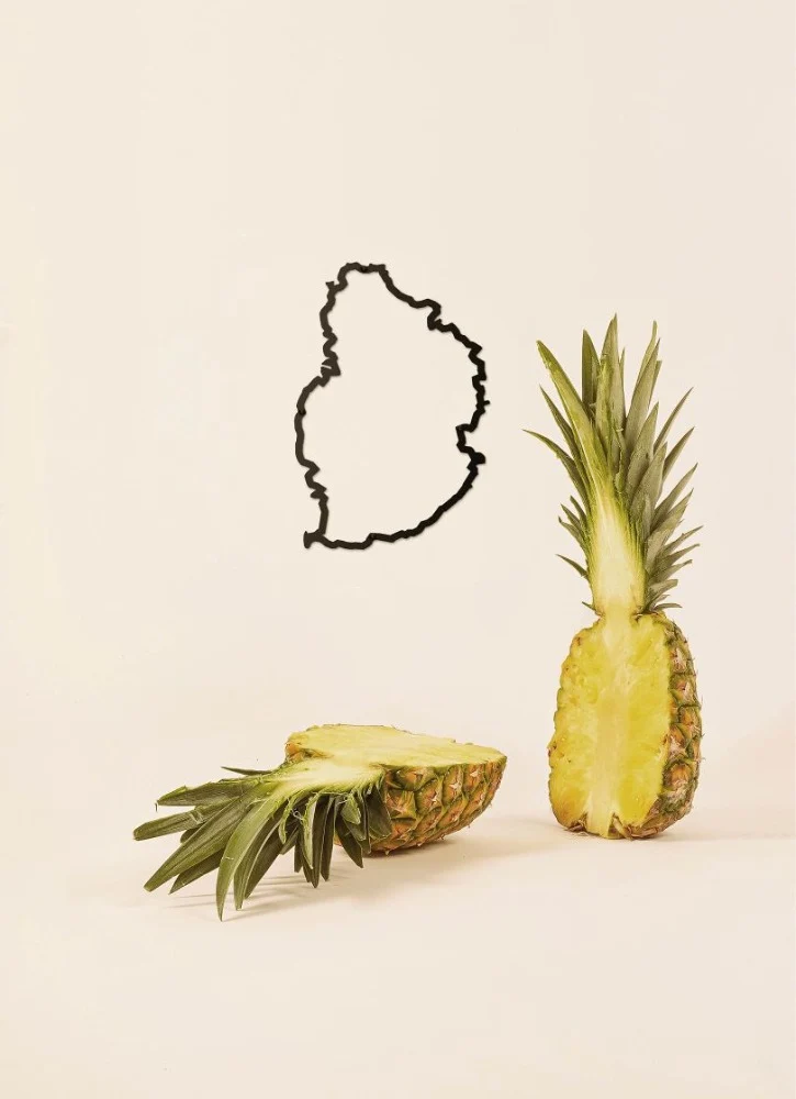 Île Maurice - Line Island