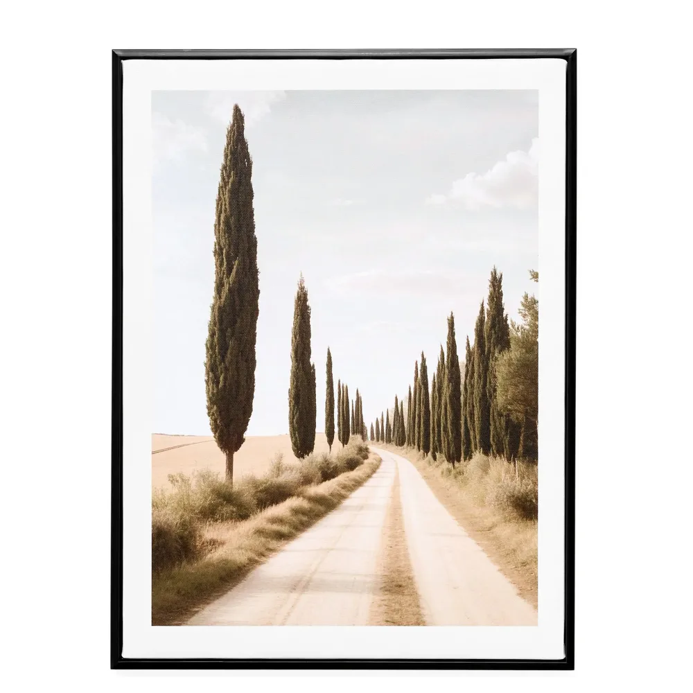 Toile - Chemin de cyprès