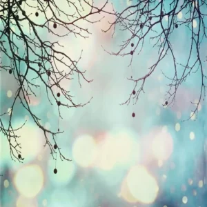 Toile de fond bokeh branches polka brillant photographie 1