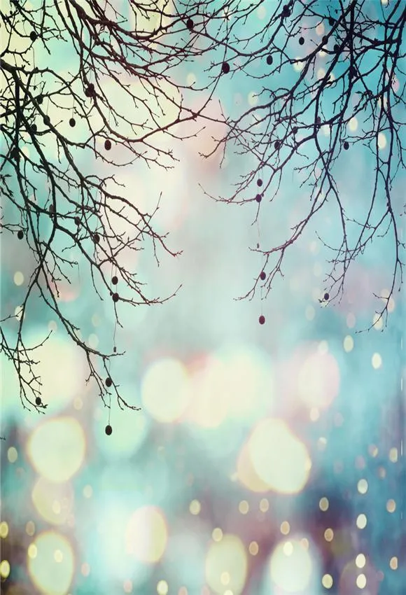 Toile de fond bokeh branches polka brillant photographie 1