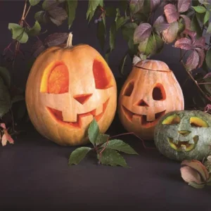 Toile de fond de feuilles de citrouille d'Halloween pour l'automne