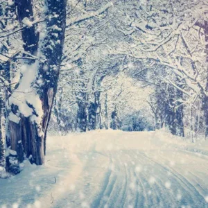 Toile de fond de neige route hiver branches photographie