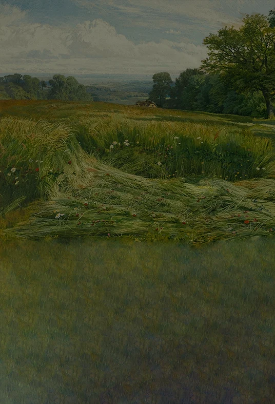 Toile de fond de peinture à l'huile de vue de près de la colline de Leith de photographie SBH0409 1