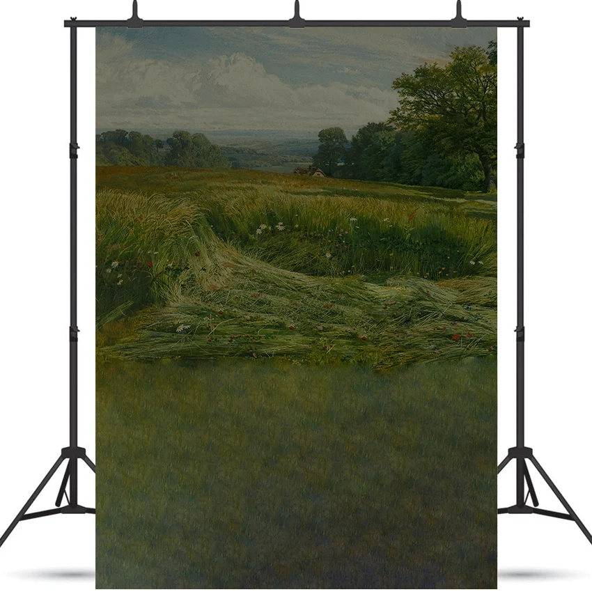 Toile de fond de peinture à l'huile de vue de près de la colline de Leith de photographie SBH0409 1