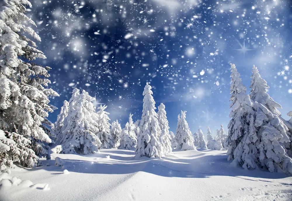 Toile de fond de photographie de êt de neige blanche d'hiver