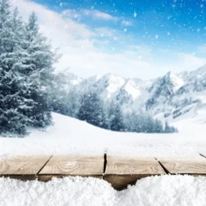 Toile de fond de photographie de êt de pins de neige d'hiver
