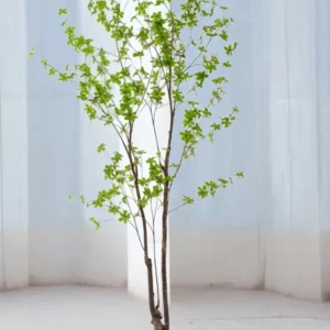 Tropaeolum Speciosum plante artificielle h210cm
