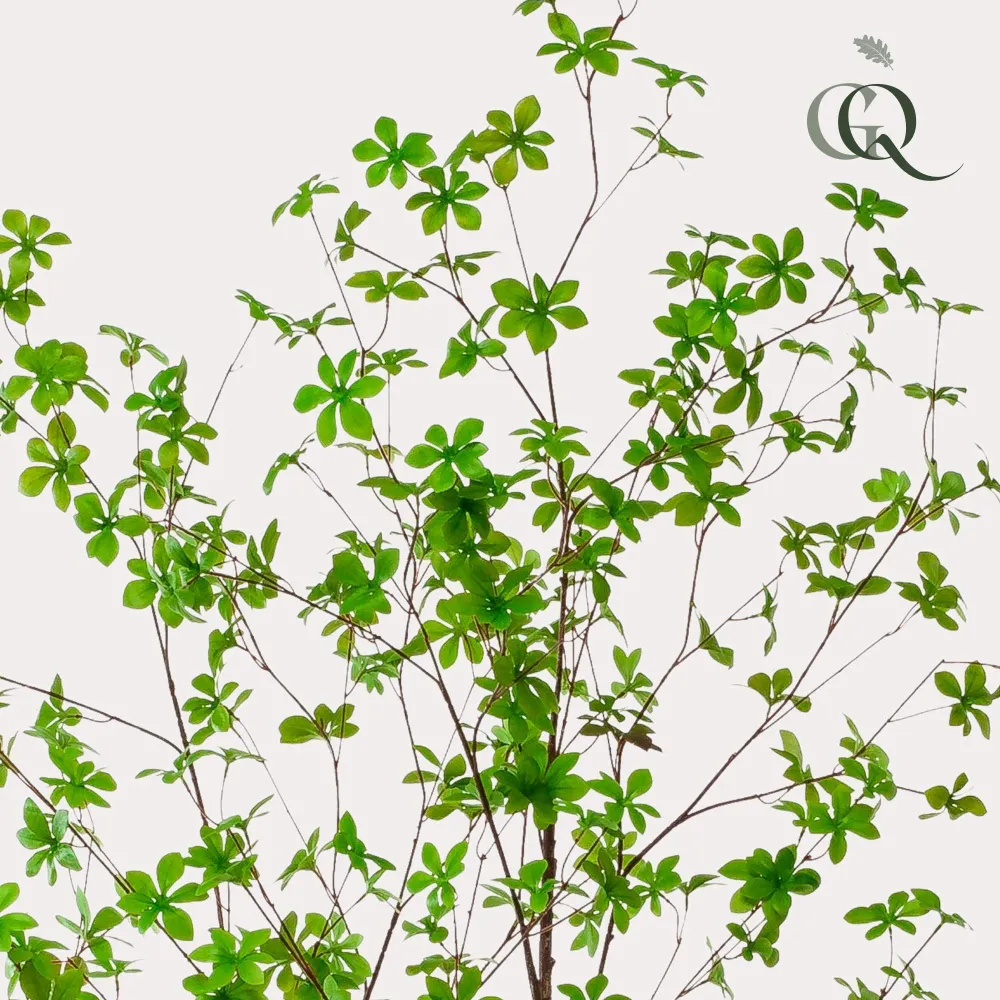 Tropaeolum Speciosum plante artificielle h210cm