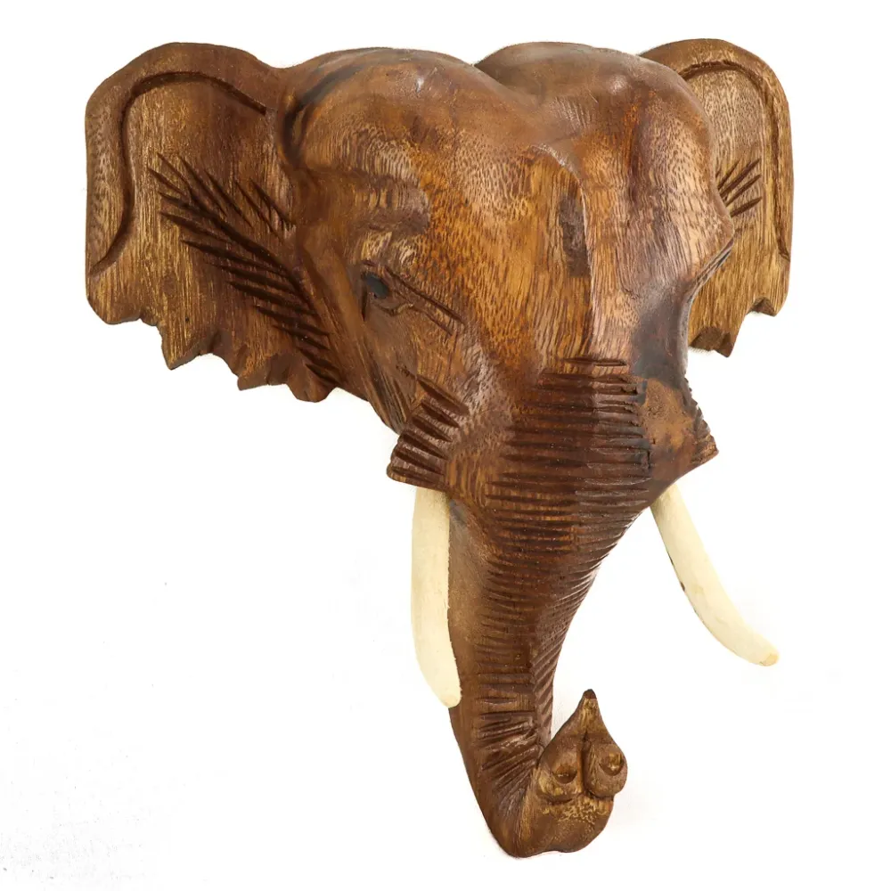 Tête d'éléphant de gousse de singe