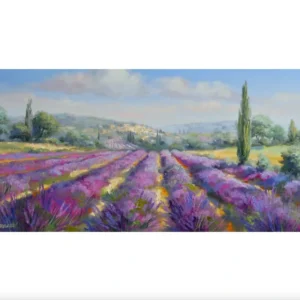 Ute Herrmann - Rangées de lavande dans le Luberon