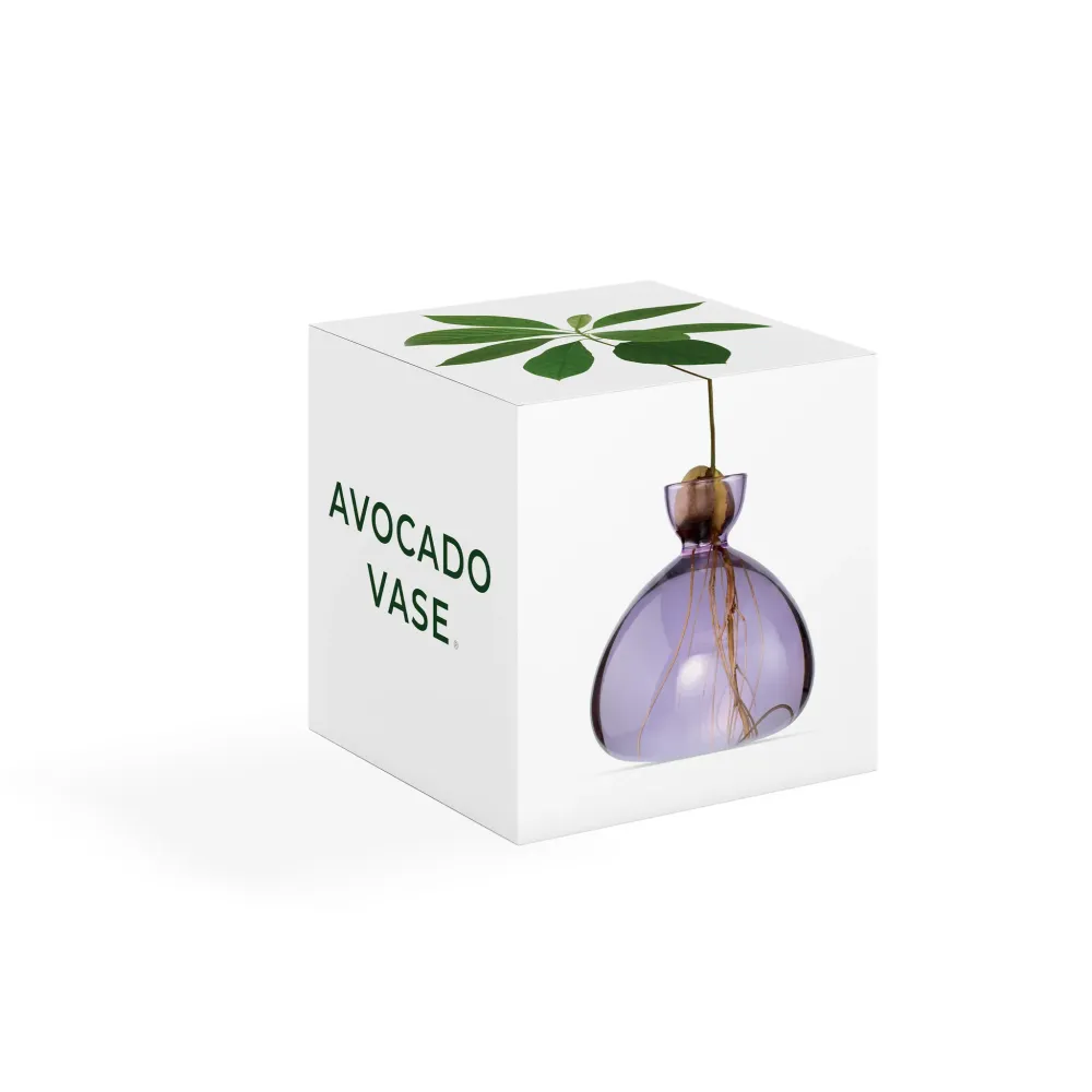 Vase avocat Lilas