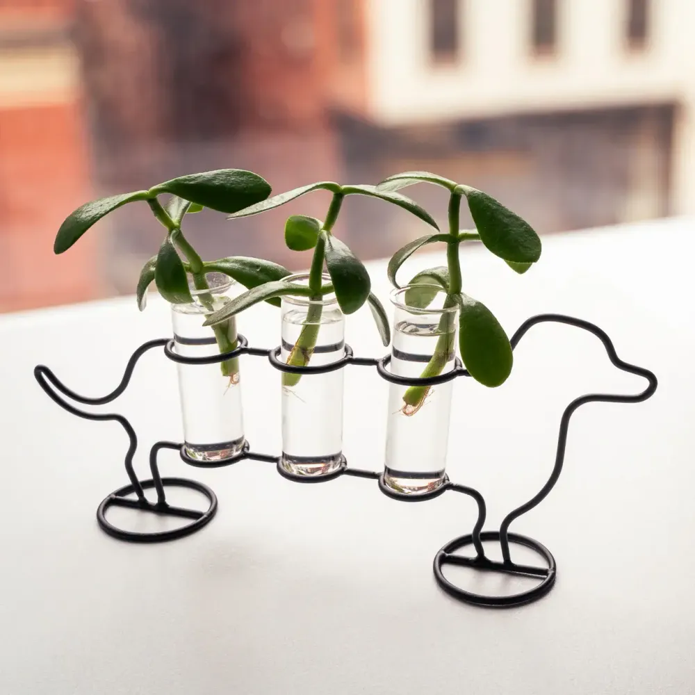 Vase Teckel 3 Tubes