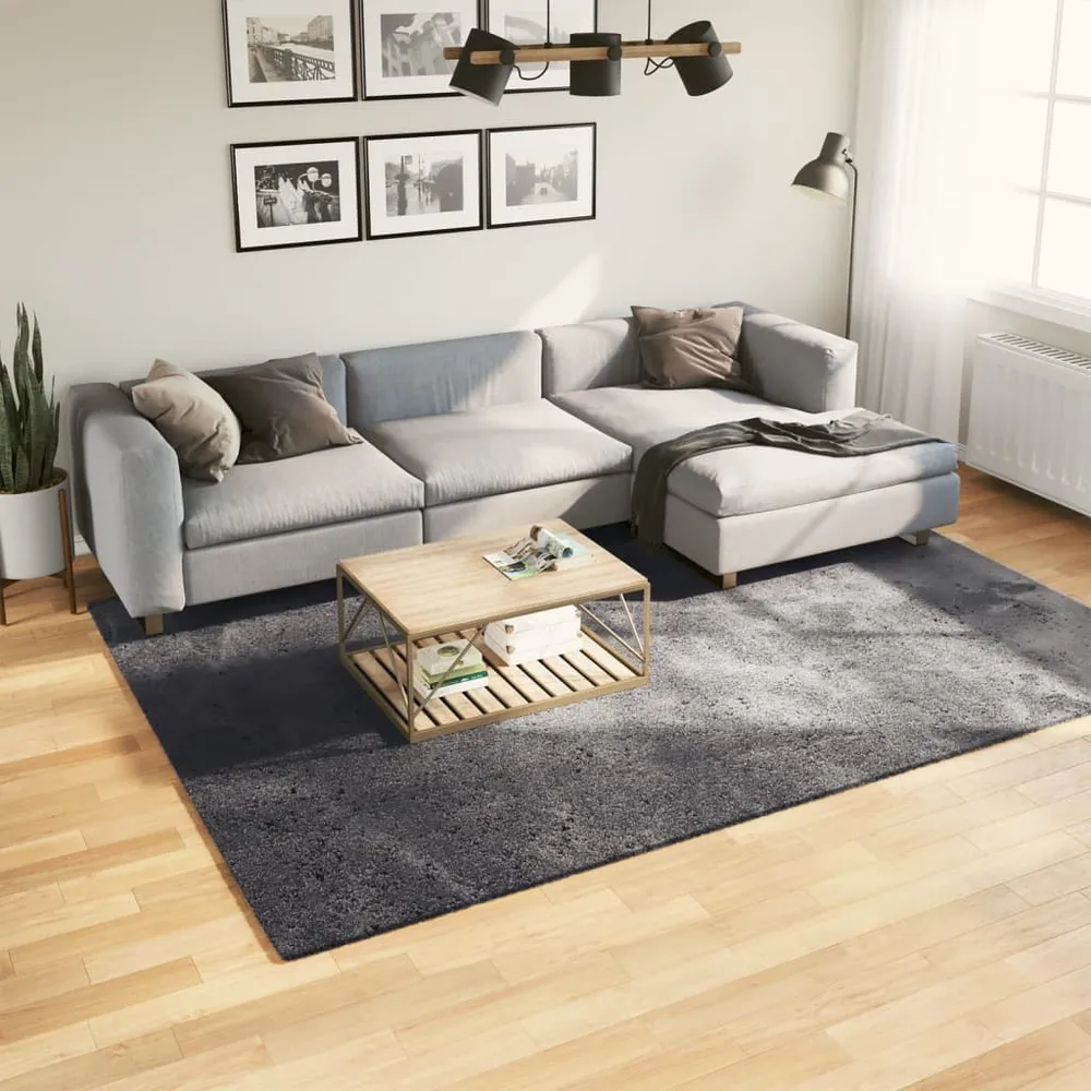 vidaXL Tapis HUARTE à poils courts doux lavable anthracite 200x280 cm