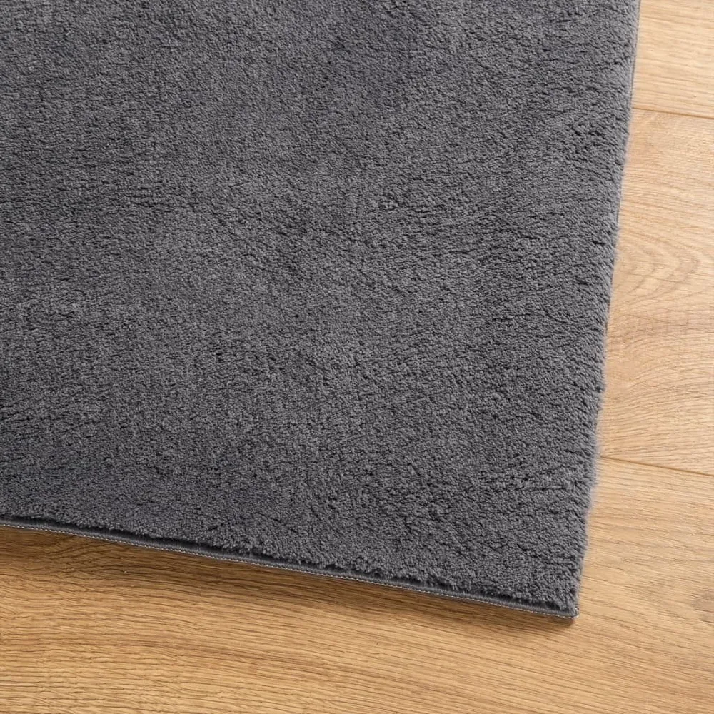 vidaXL Tapis HUARTE à poils courts doux lavable anthracite 200x280 cm