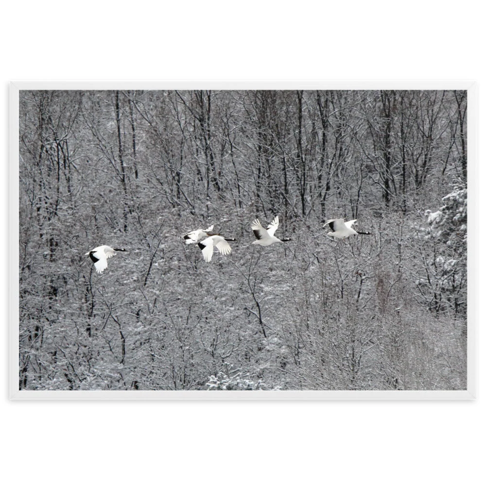 Affiche - famille de grues volantes Young Han Song