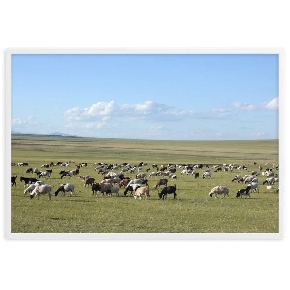 Affiche - Troupeau de moutons paissant dans la steppe mongole Young Han Song