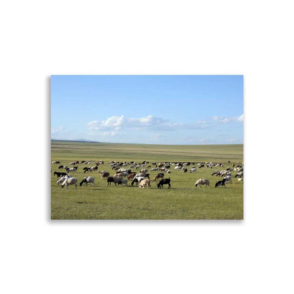 Affiche - Troupeau de moutons paissant dans la steppe mongole Young Han Song