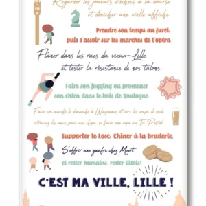 MAGNET LILLE DECLARATION ZIGZAG EDITIONS